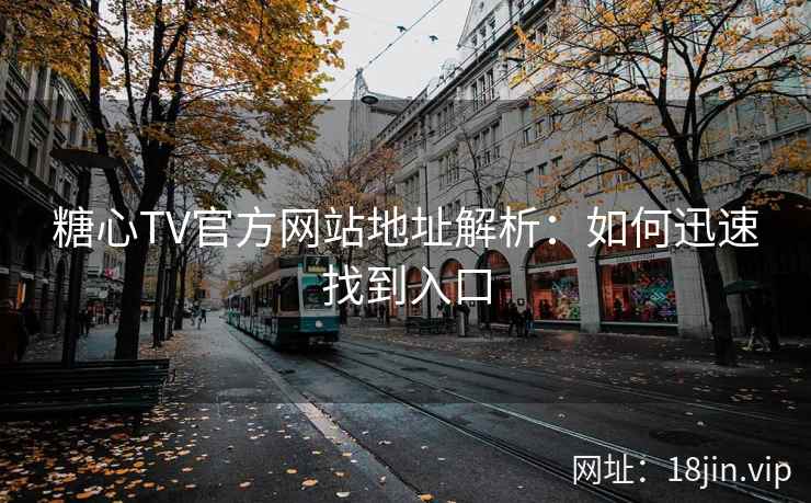 糖心TV官方网站地址解析：如何迅速找到入口  第2张