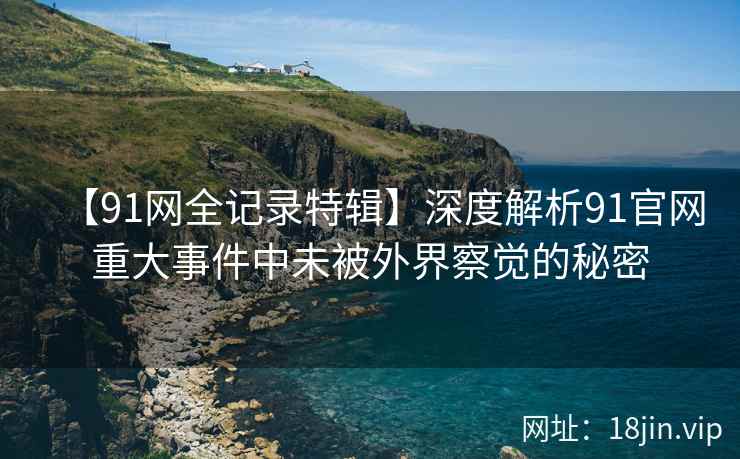 【91网全记录特辑】深度解析91官网重大事件中未被外界察觉的秘密  第1张