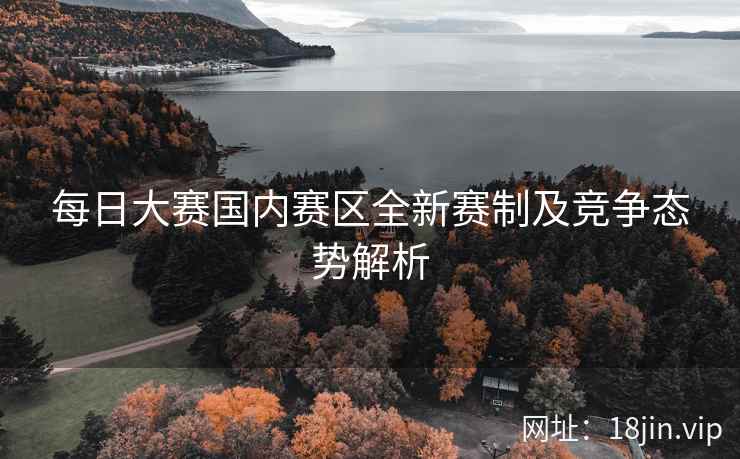 每日大赛国内赛区全新赛制及竞争态势解析  第2张