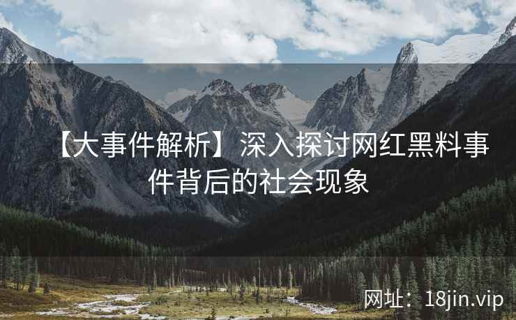 【大事件解析】深入探讨网红黑料事件背后的社会现象  第2张